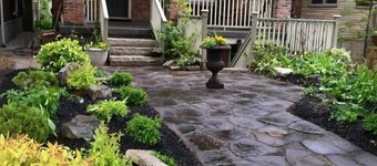 Beautiful 2 Bedroom Lower Level Apt in Roncesvalles/High Park