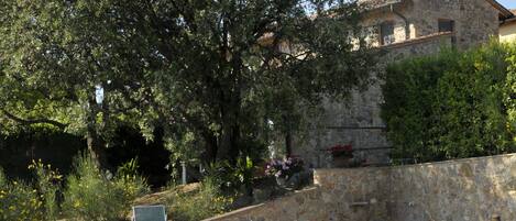 Alberca al aire libre