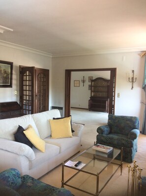 TV, lareira, livros