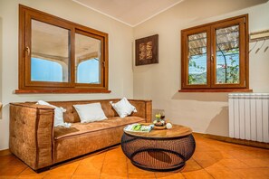 Télévision, cheminée, Netflix, lecteur de DVD