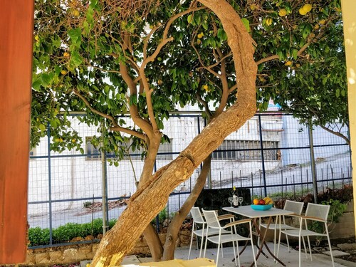 Amazing apartment 100 meters from the Old Town.  131047914