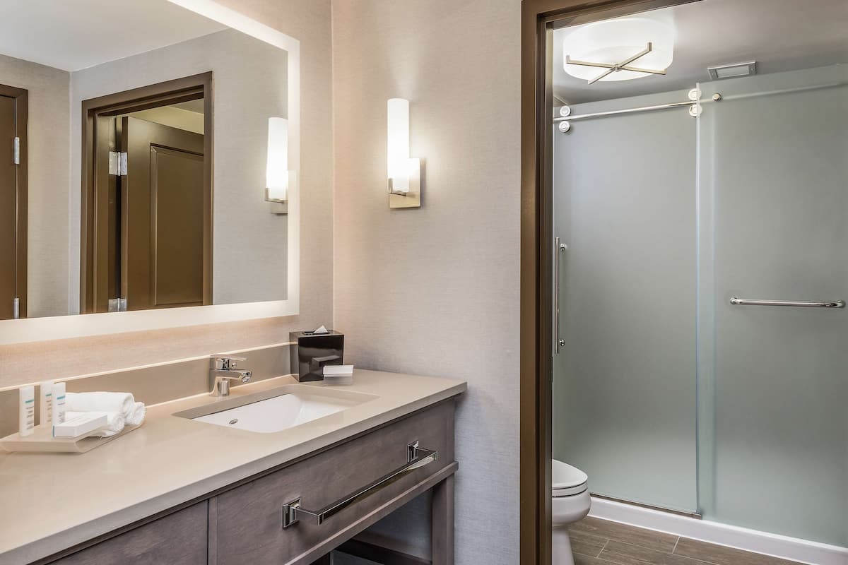 A modern bathroom with a large mirror, two sinks, a toilet, and a glass-enclosed shower.