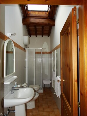 Shower, hair dryer, bidet, towels