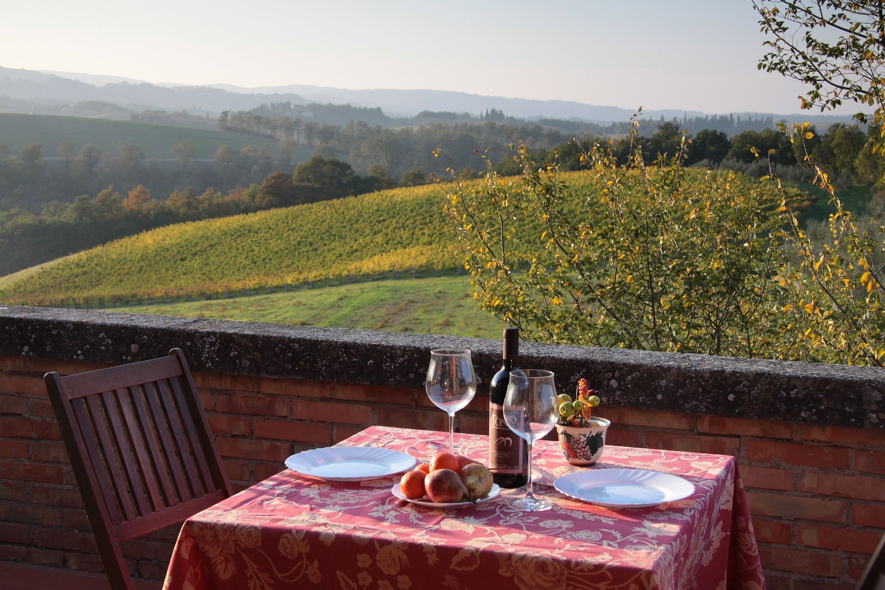 Ein Tisch mit Tellern, Weingläsern und einer Flasche, mit Blick auf einen Weinberg.