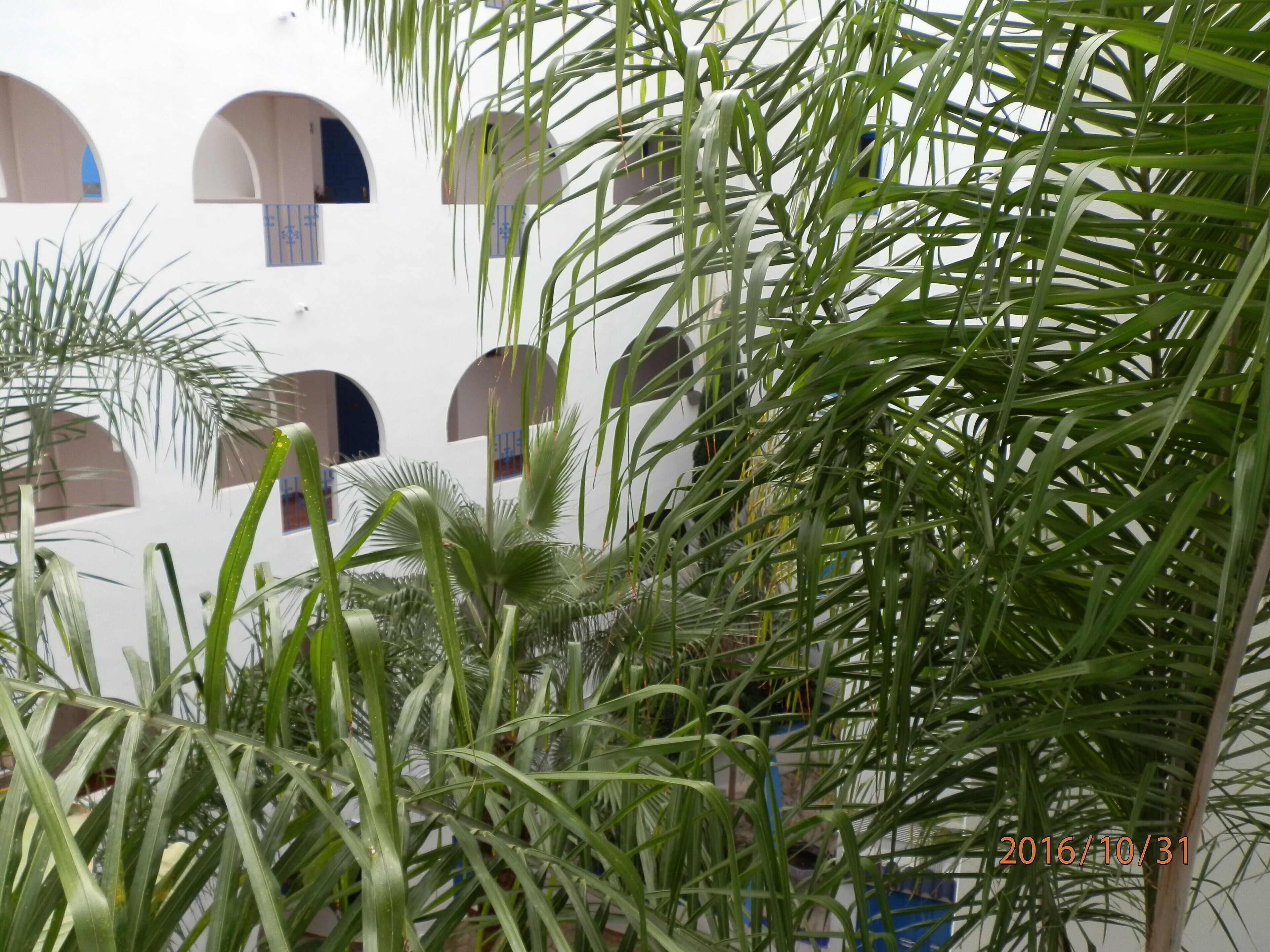 A white building with multiple arched windows and lush green foliage in the foreground.