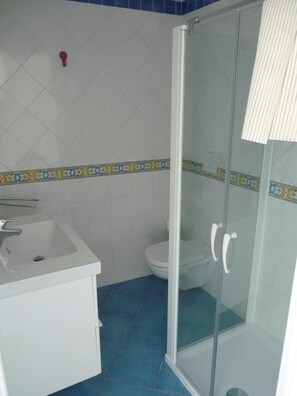 Shower, hair dryer, bidet, towels