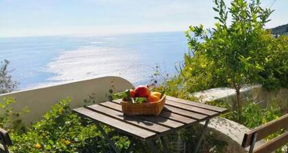 Mareluna Holiday Home