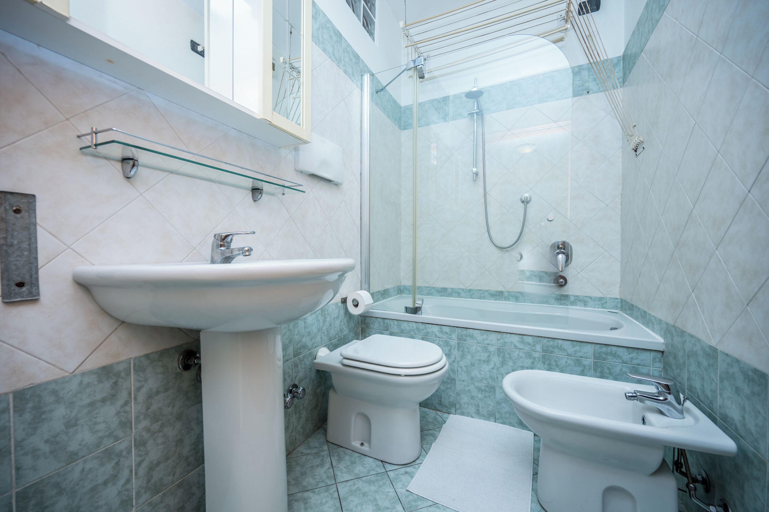 Combined shower/bathtub, hair dryer, bidet, towels