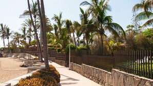 A pathway lined with palm trees and a stone wall, leading to a beach area.