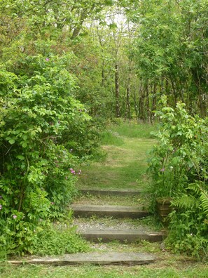 Property grounds - Peaceful Cottage in Rural North Devon, near the Ocean (Hartland)