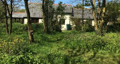 Ruhiges Häuschen in ländlichem Nord-Devon, nahe dem Ozean