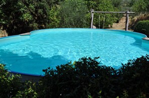 A clear blue swimming pool surrounded by lush greenery.