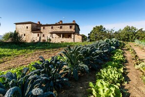 Exterior - Palaia farm, accommodation "FOCOLARE" (Pelago)