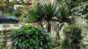 A garden with a water feature, lush greenery, and a building with a red roof in the background. - Maison Cerviña (Germigny-des-Pres)