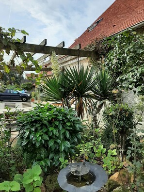 Garden - Maison Cerviña (Germigny-des-Pres)