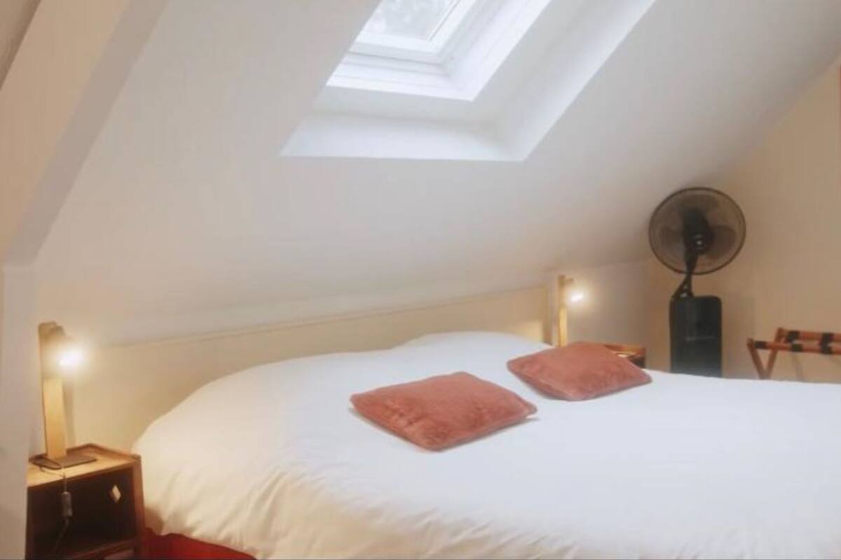 A bedroom with a skylight, a bed with white linens and two pink pillows, a bedside table with a lamp, a standing fan, and a chair.