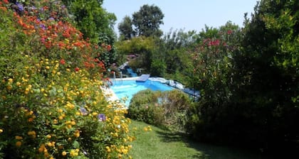 House with garden