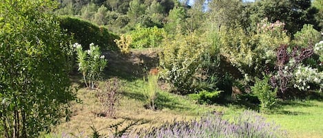 Terrain de lâhĂ©bergement