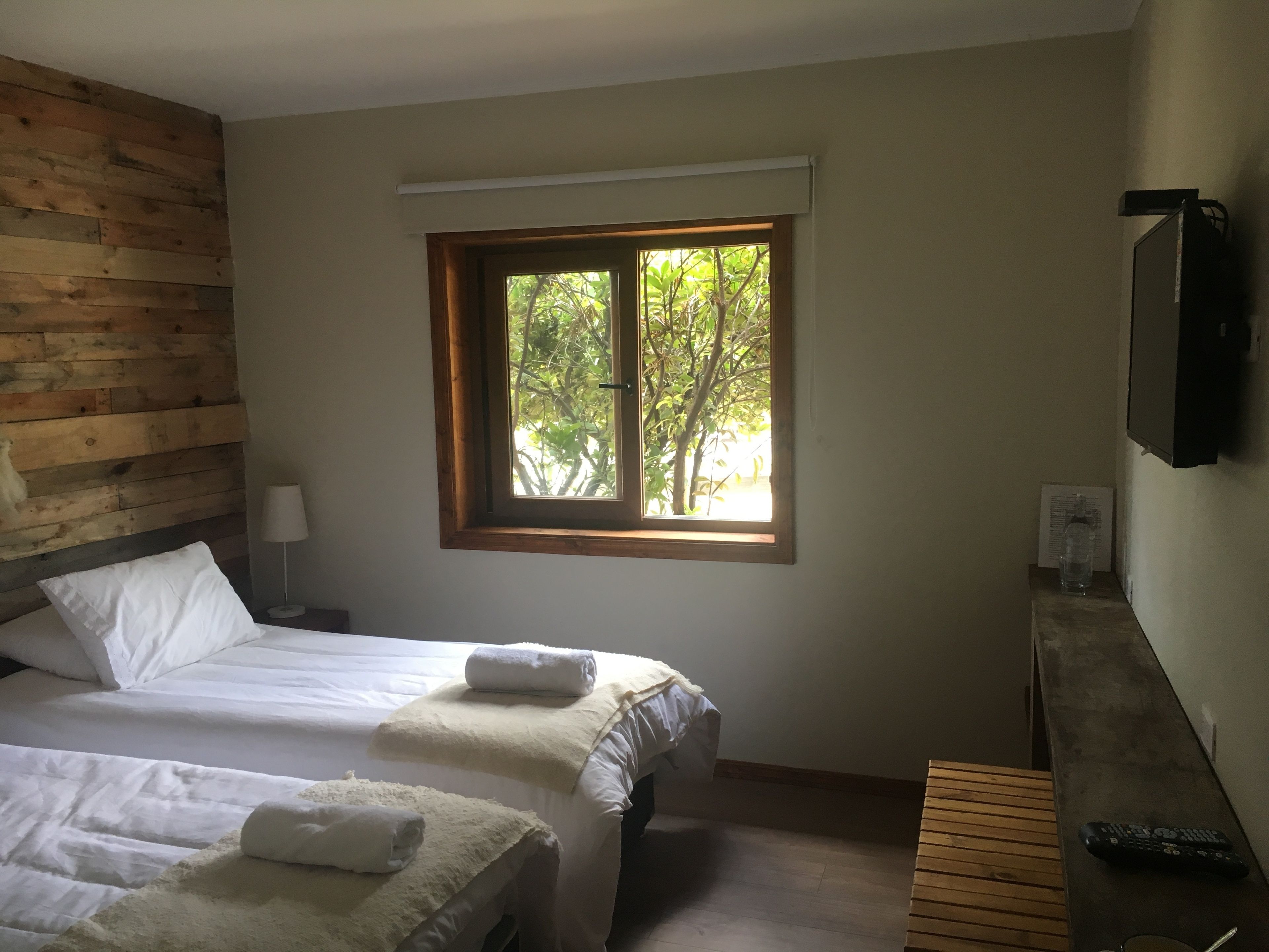 A hotel room with two beds, a window with a view of trees, a wooden headboard, a bedside table with a lamp, and a TV mounted on the wall.