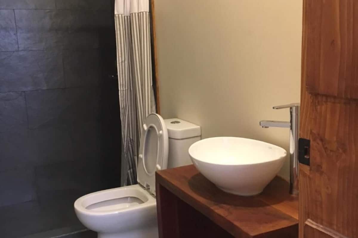 shower, free toiletries, hair dryer, towels