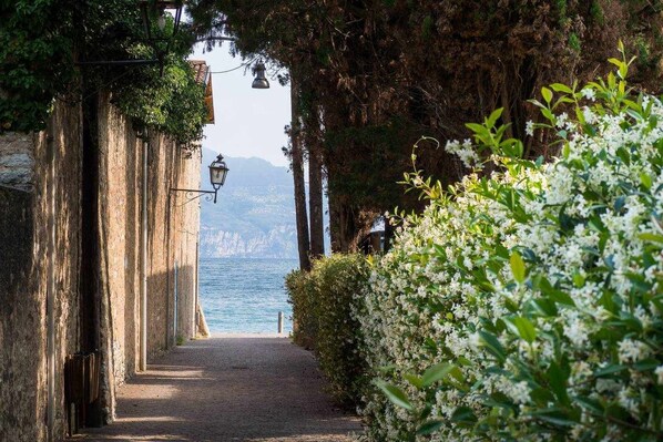 A stone pathway leading to a body of water, flanked by greenery and a lamp post.