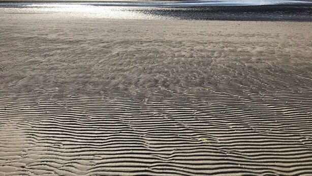 Accommodatie ligt op het strand