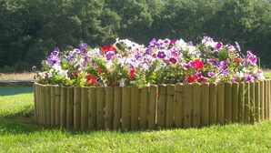A wooden raised garden bed with a variety of colorful flowers in front of a grassy field and a forested hill in the background.
