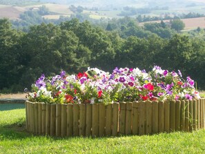Terrein van de accommodatie