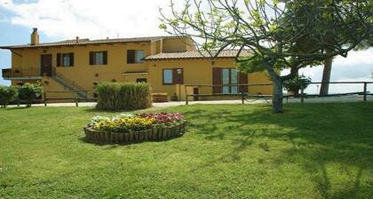 L'ORTO: apartment within farmhouse just 15 minutes far from Assisi.