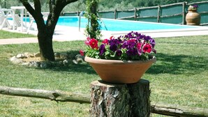 A terracotta flower pot with vibrant flowers on a wooden stump, a wooden fence, and a swimming pool in the background.
