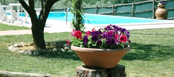 L'ORTO: appartement dans ferme de campagne, Ă 15 minutes de Assise