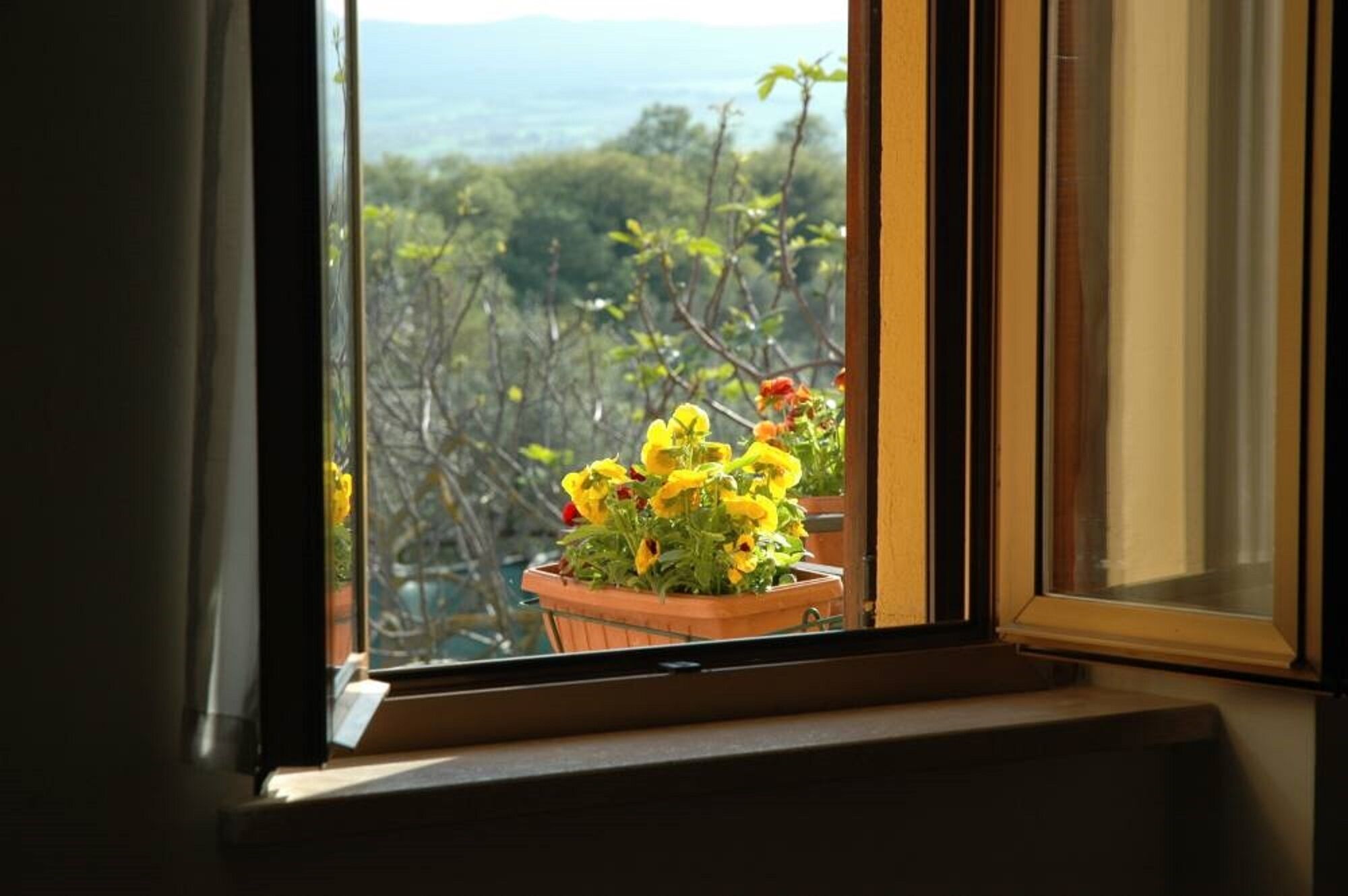 A window with a view of a balcony with yellow flowers.