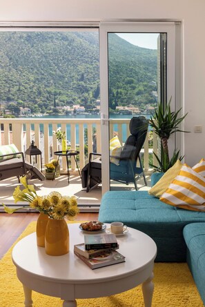 TV, fireplace, books