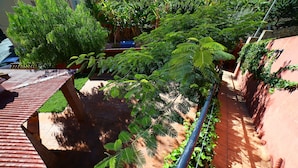 Un jardín en la azotea con diversas plantas y un muro de ladrillo rojo.
