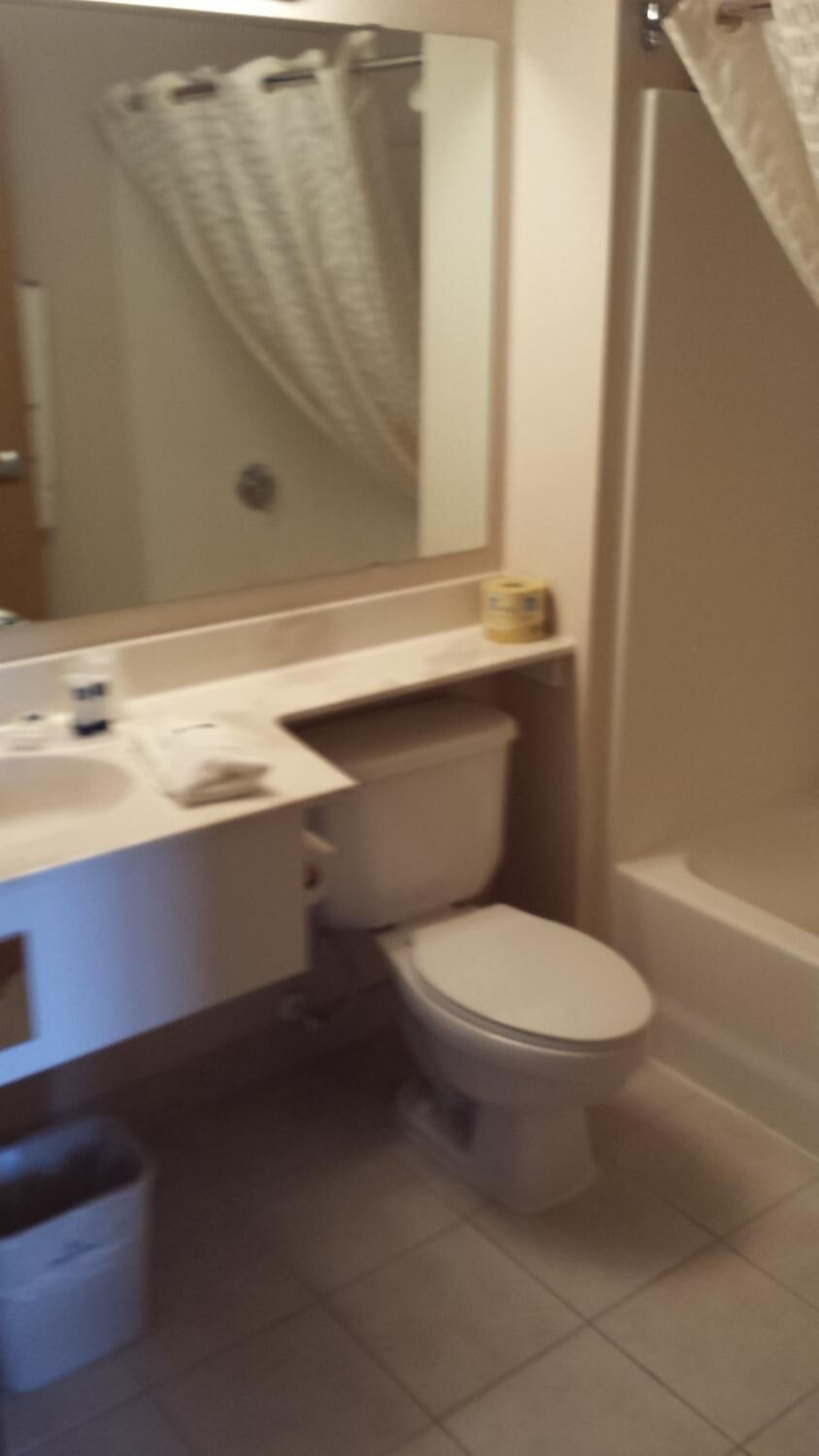 A bathroom with a toilet, sink, and mirror. There is a shower curtain visible in the background.