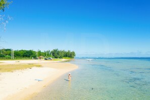 Ein Strand mit klarem Wasser, eine Person geht spazieren, und bewaldetes Gebiet im Hintergrund.