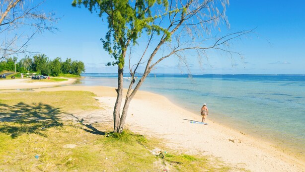 Una playa con vista clara al océano, una persona cerca del agua y un árbol al frente.