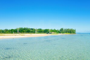 A beach with clear water, a sandy shore, and a line of trees in the background.
