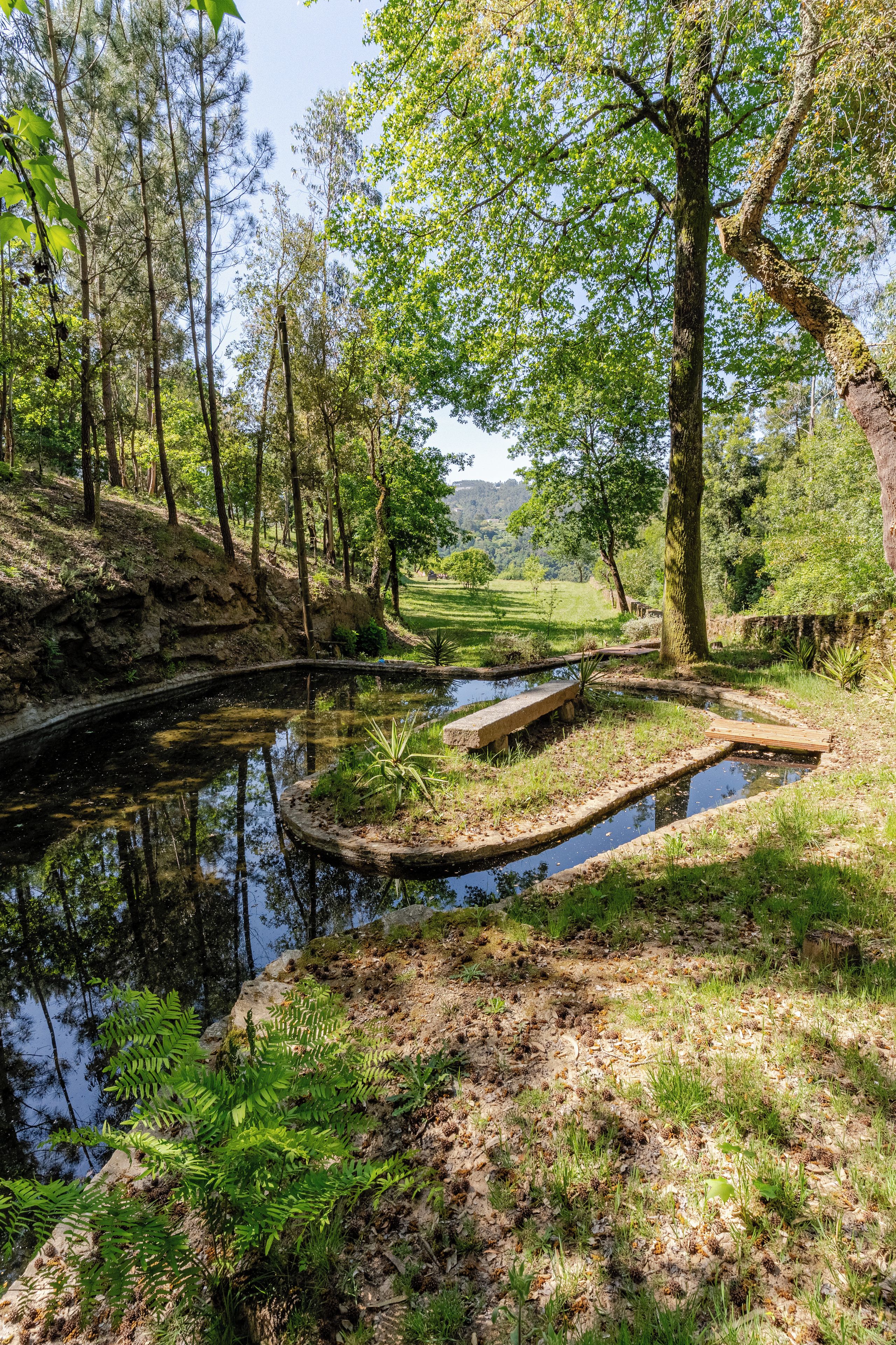 A tranquil outdoor setting with a water feature, surrounded by lush greenery and trees.