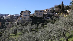 Un barrio residencial en una ladera, con casas, algunas con balcones, rodeado de olivos y vegetación.