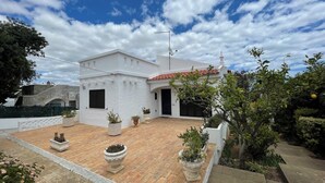 Edifici blanc amb teulada de rajola, envoltat de plantes en testos i un pati de maó.