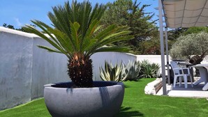 Zona exterior ben cuidada amb una gran jardiniera, taula de pati amb cadires i una pèrgola que ofereix ombra.