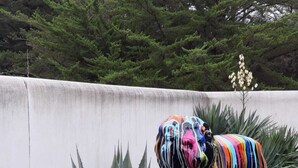 Escultura colorida d'un llamà sobre gespa artificial, amb una gran planta d'alvocat a primer pla i una paret blanca al fons.