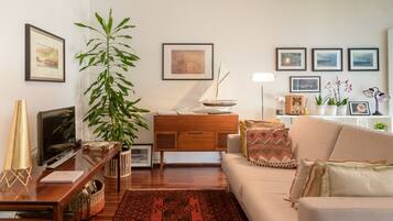 Smart TV, DVD player, books