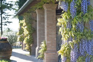 Parco della struttura