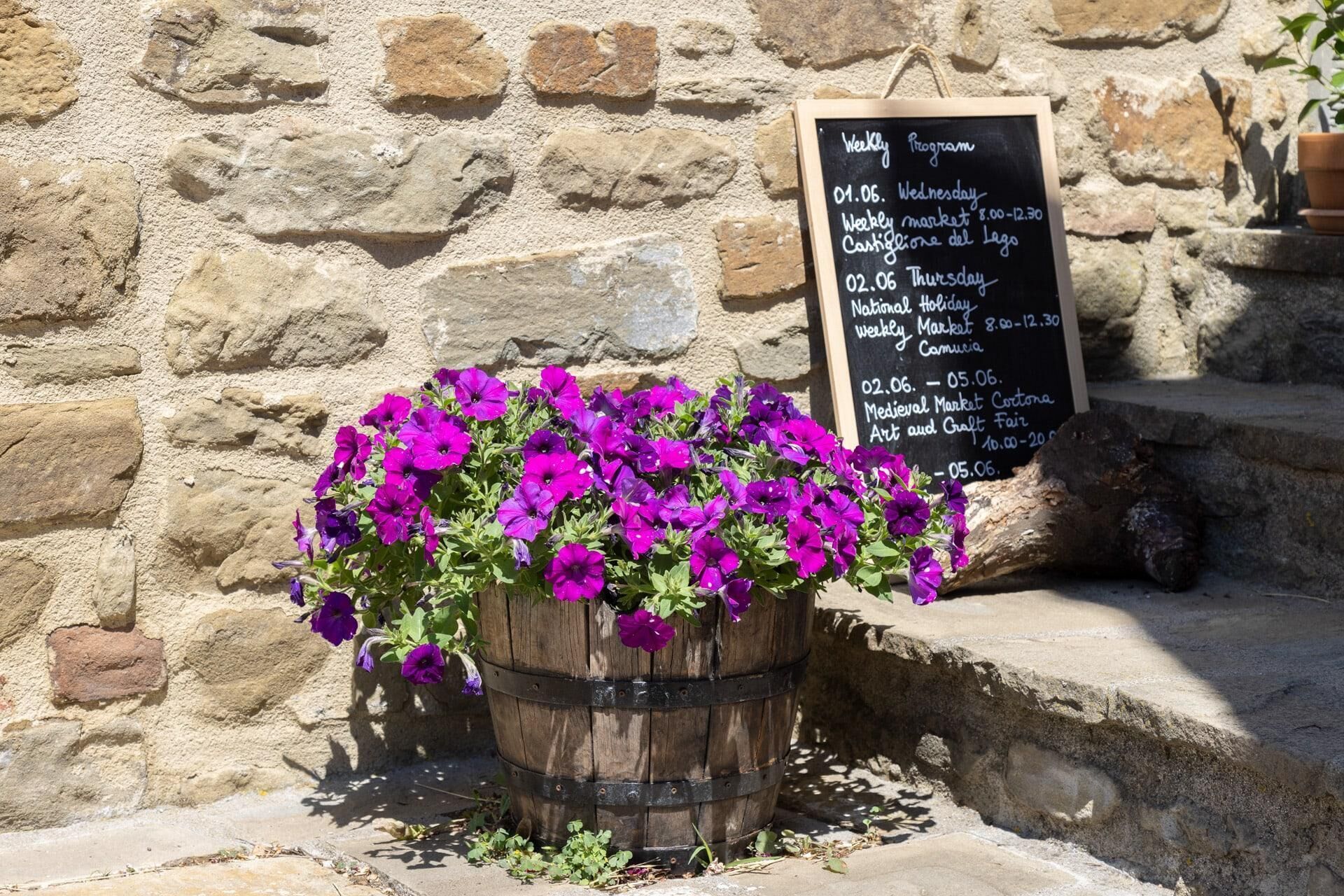 Un muro de piedra con una jardinera de madera llena de flores moradas y un cartel de pizarra que anuncia un programa semanal con fechas y horarios.