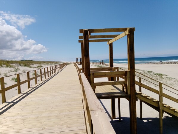 Beach nearby - The Dunes of the Ship (Murtosa)