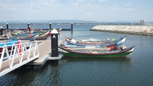 Un port de plaisance où plusieurs bateaux sont amarrés au quai.