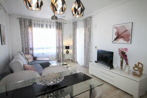 Televisio, DVD-soitin, kirjoja