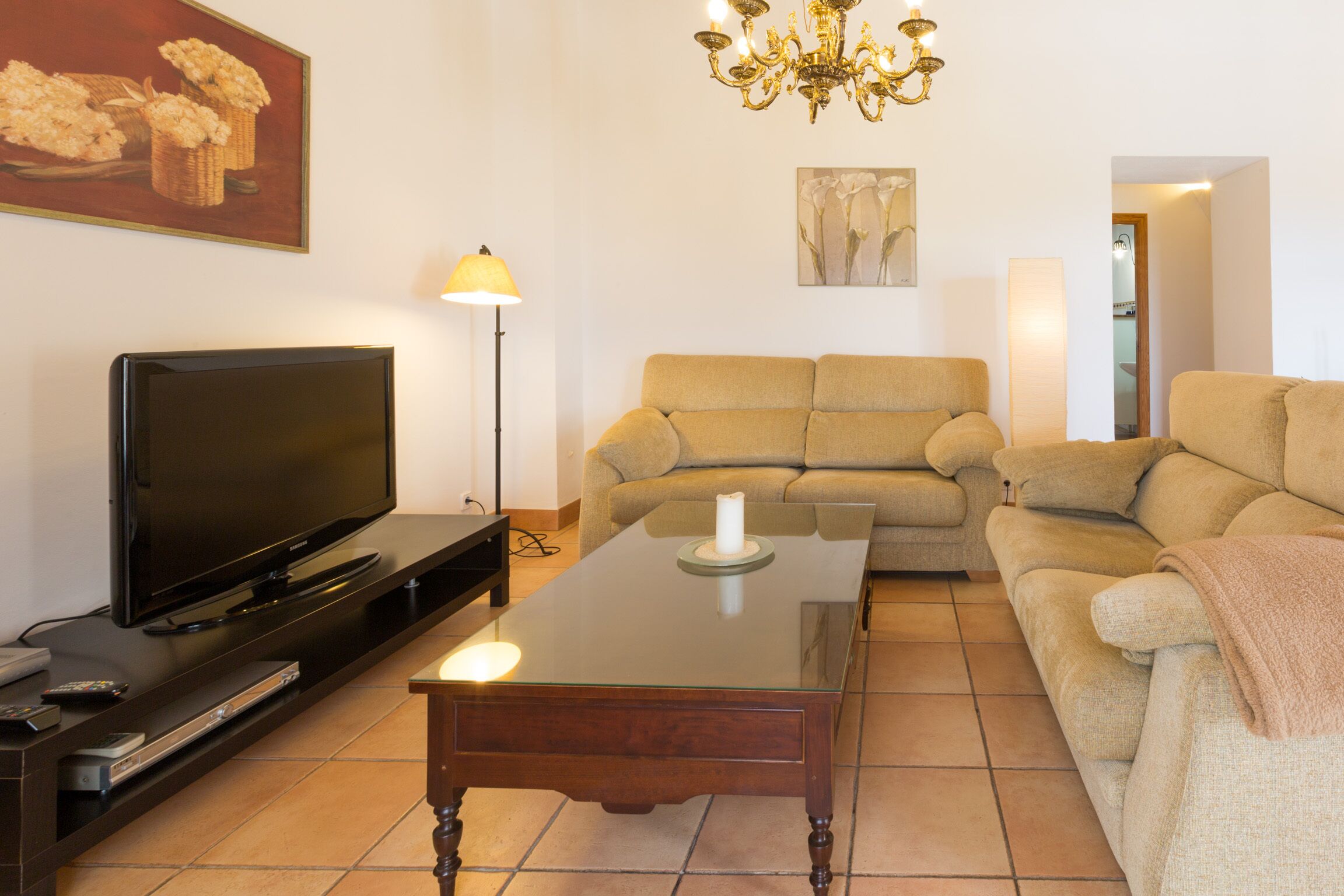 Téléviseur, lecteur de DVD